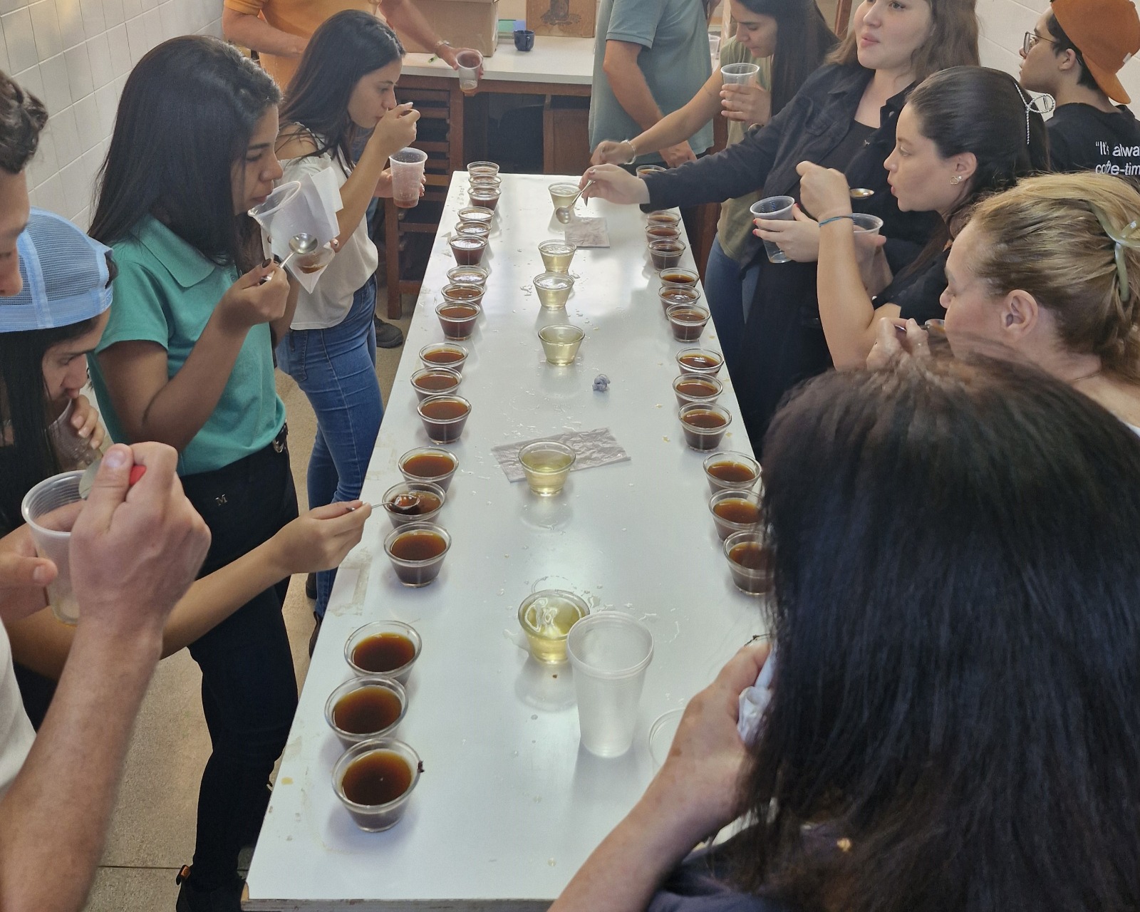 Uesb impulsiona setor cafeeiro com laboratório especializado no estudo de grãos de café