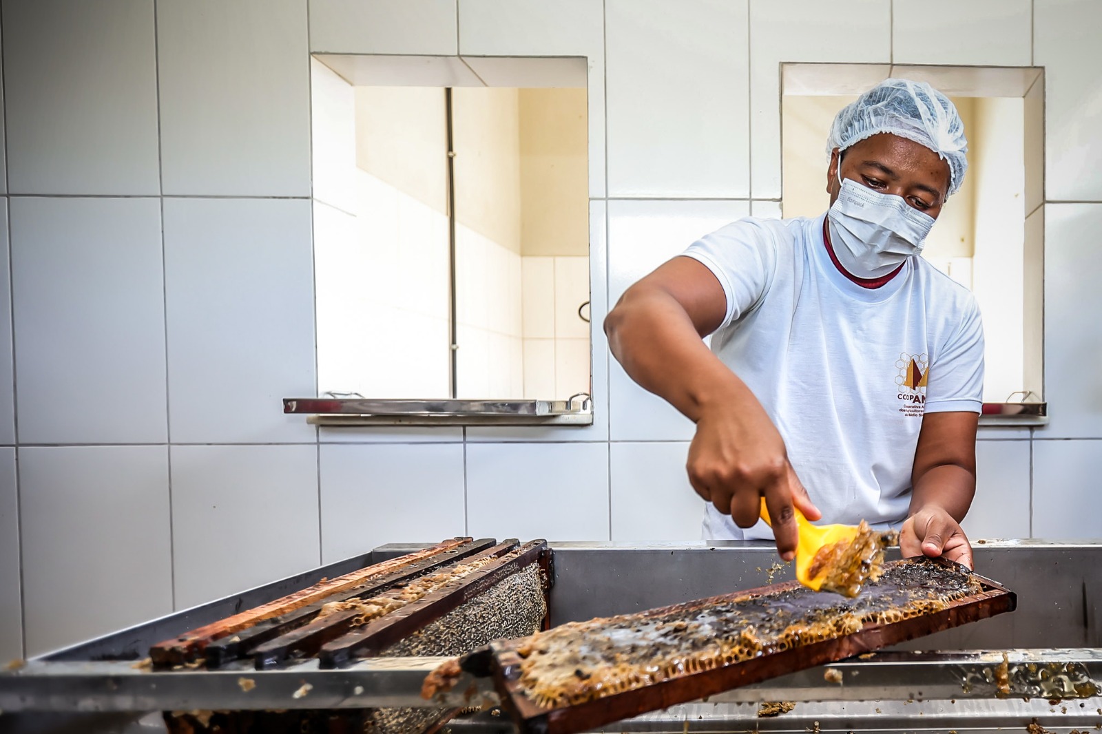 Morpará ganha unidade de mel e classificadora de ovos para fortalecer agricultura familiar