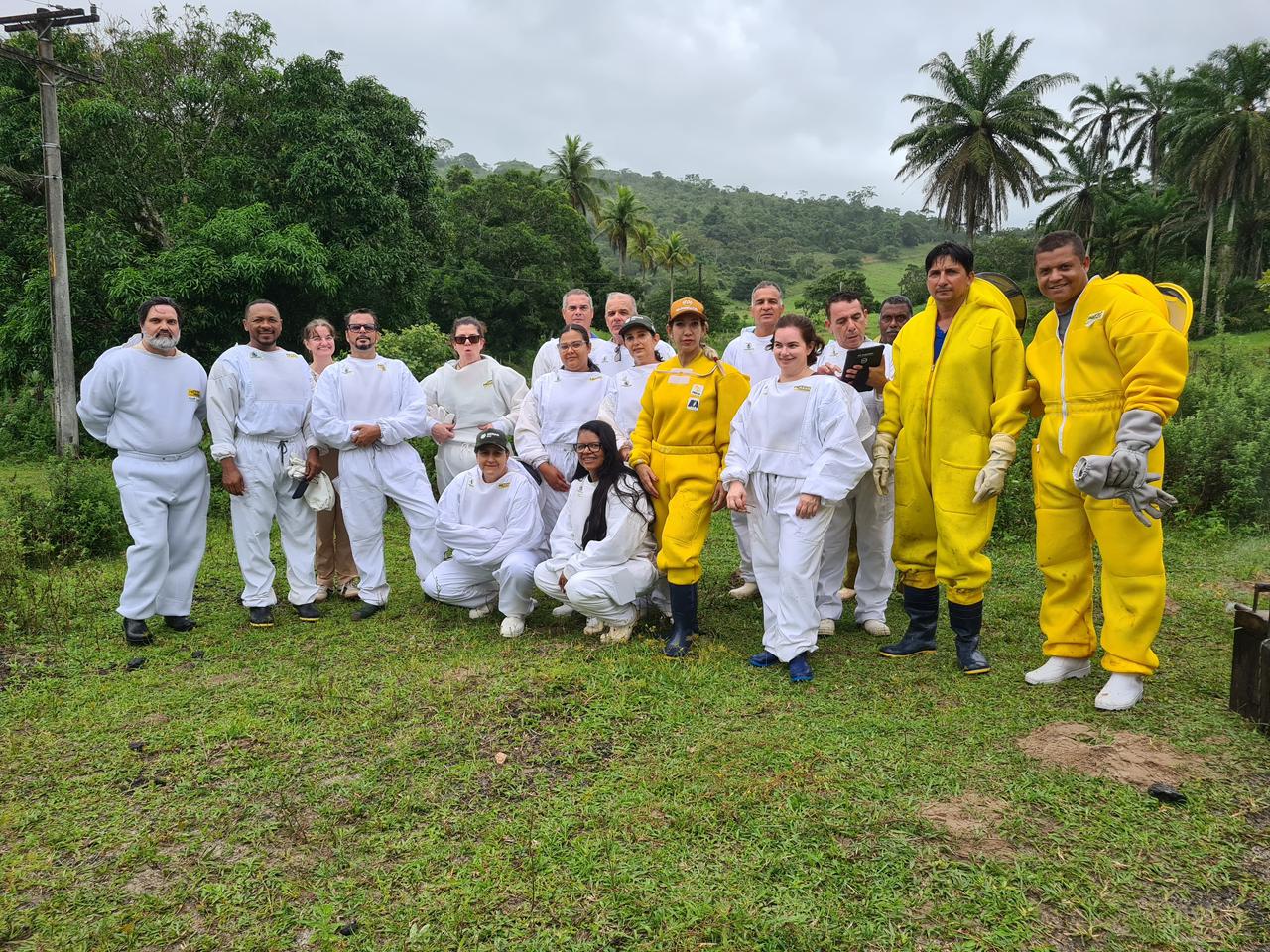DAB conclui capacitação sobre apicultura e manejo sanitário das abelhas na Bahia