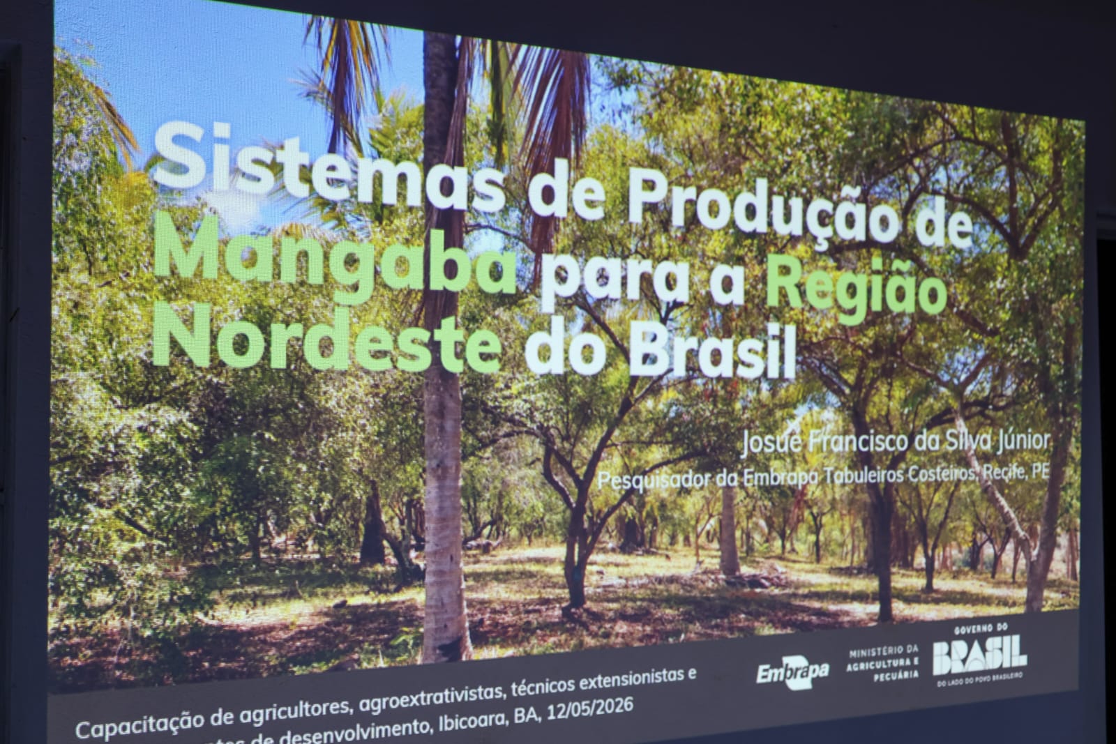 Seagri fortalece cadeia produtiva da mangaba em encontro com municípios da Chapada Diamantina