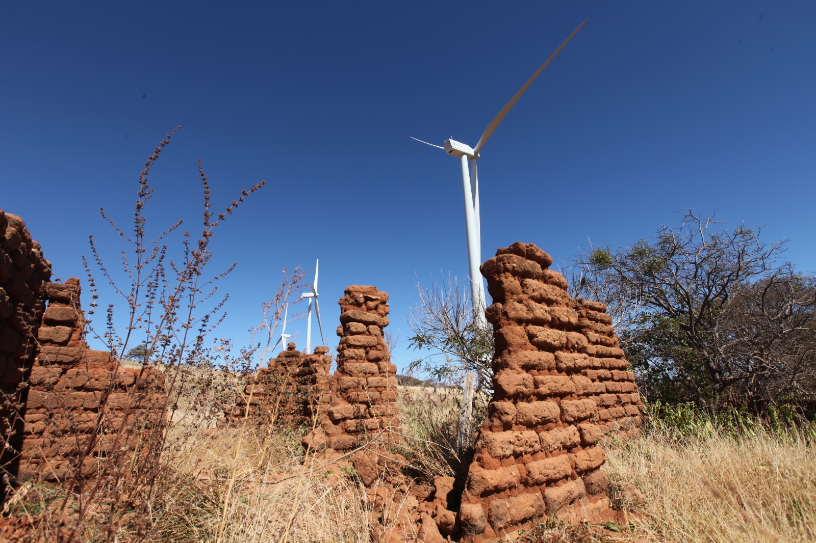 Dia Mundial do Vento destaca liderança da Bahia na geração de energia eólica