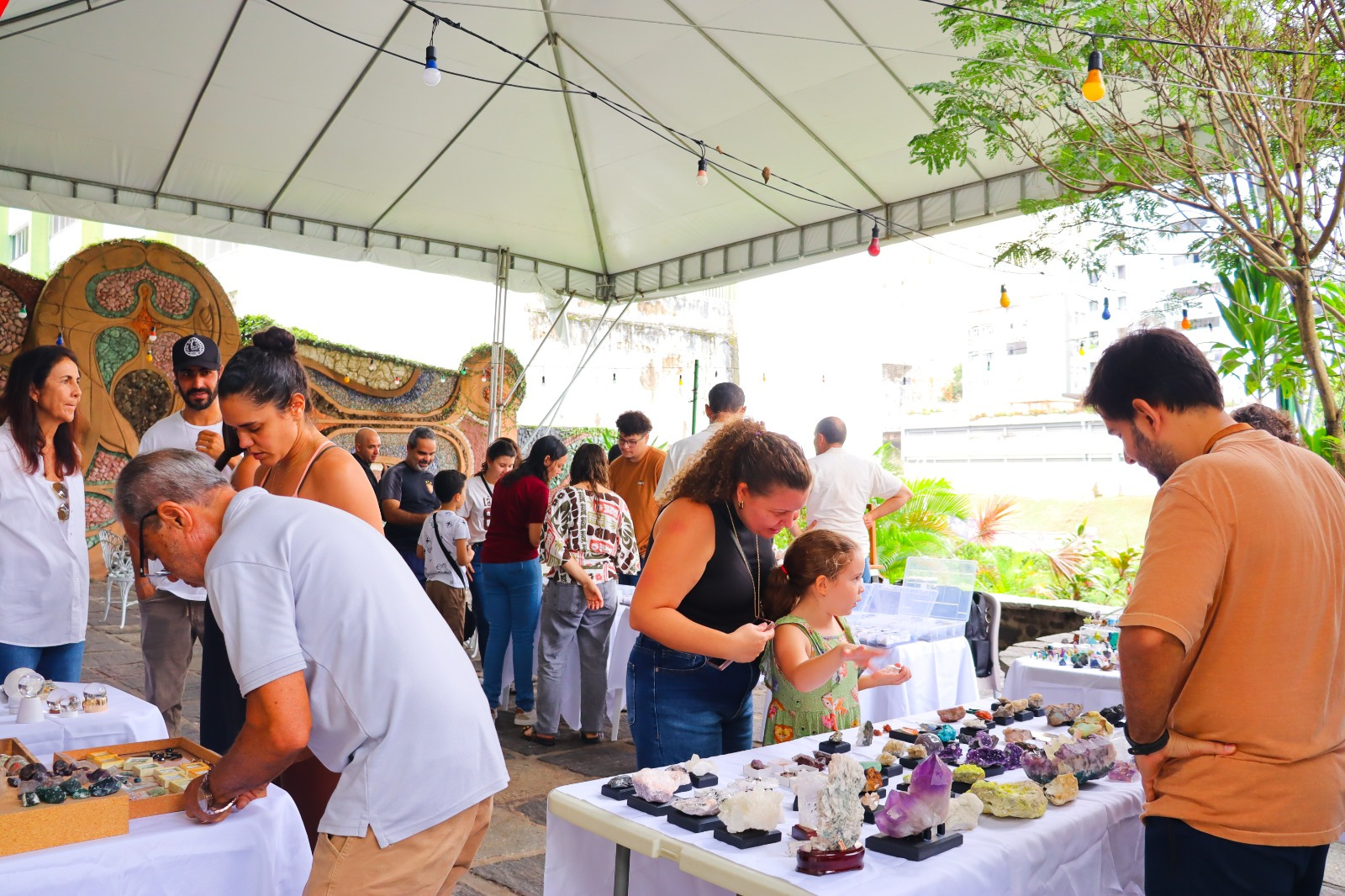 Museu Geológico da Bahia promove 1º encontro de colecionadores e exposição sobre a história da Terra