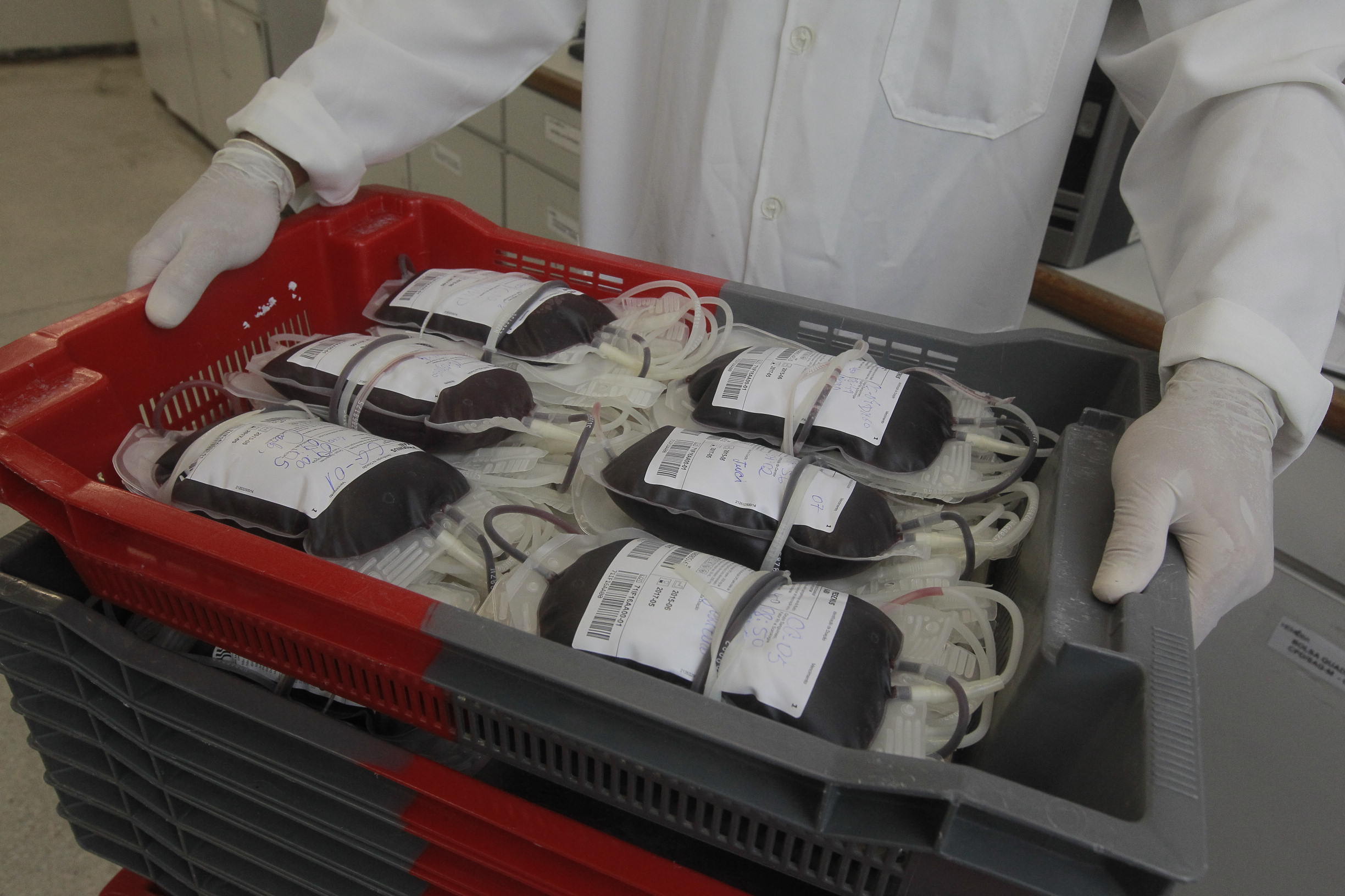 Sabadão Solidário amplia atendimento para doação de sangue nas unidades da Hemoba