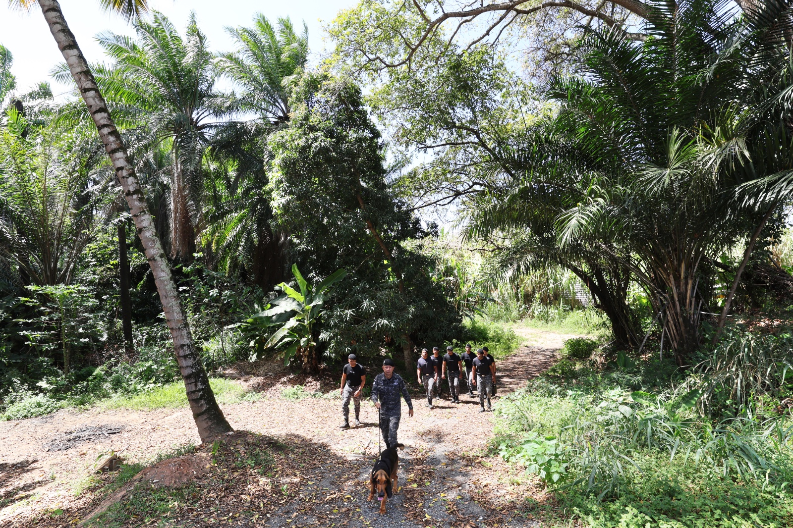 Policiais militares da Bahia são capacitados para conduzir cães em buscas por pessoas desaparecidas