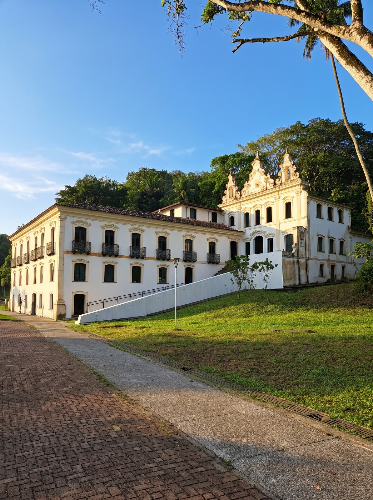 Museu do Recôncavo Wanderley Pinho abre exposição inspirada na obra de Frans Krajcberg