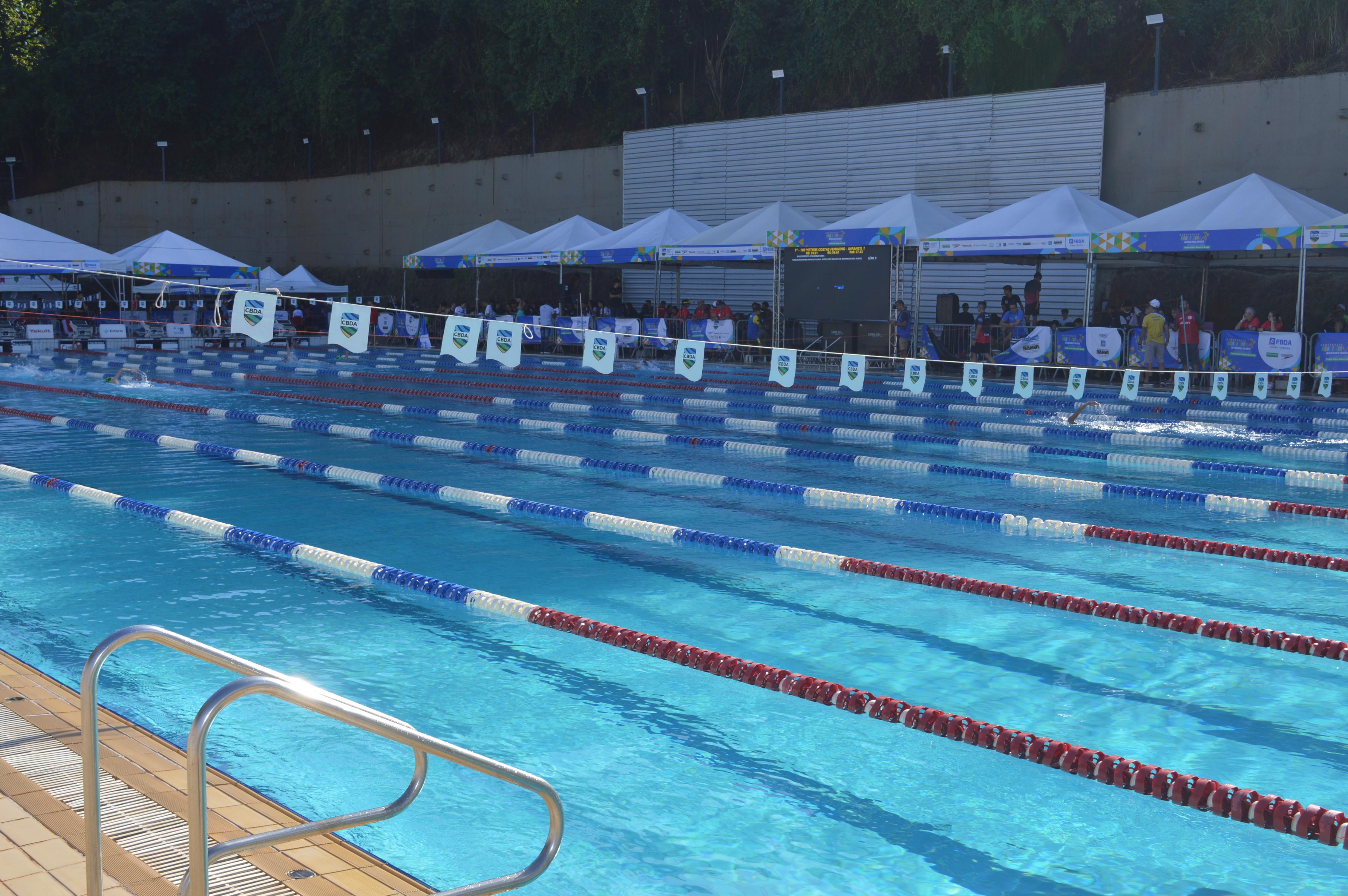 Nadando em casa, baianos buscam medalhas e melhores resultados em evento nacional infantil