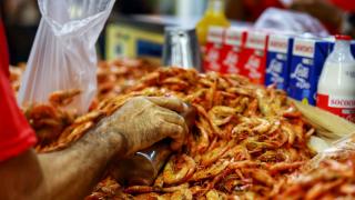 Feijão AlmeidaGOVBA (2).jpg