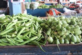 WhatsApp Image 2025-04-14 at 11.08.06 (1).jpeg