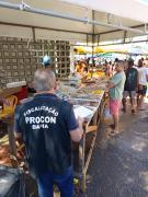 WhatsApp Image 2025-04-16 at 15.57.28.jpeg