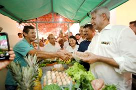 Catolândia. Foto: Amanda Ercilia/GOVBA