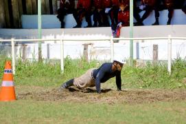 Cavalaria da PM celebra 190 anos com uma semana repleta de atividades festivas