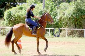 Cavalaria da PM celebra 190 anos com uma semana repleta de atividades festivas