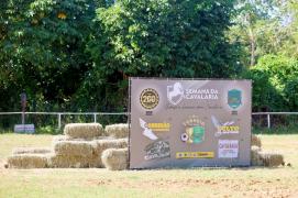 Cavalaria da PM celebra 190 anos com uma semana repleta de atividades festivas