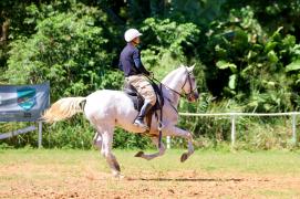 Cavalaria da PM celebra 190 anos com uma semana repleta de atividades festivas