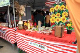 Presidente Tancredo Neves. Foto: Thuane Maria/GOVBA