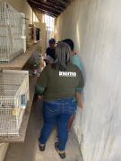 FPI combate tráfico de aves e promove ações educativas em Bom Jesus da Lapa