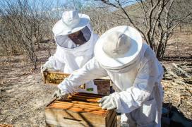 Foto: André Frutuôso/CAR
