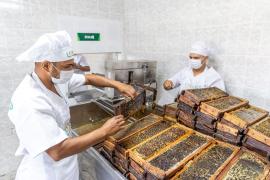 Foto: André Frutuôso/CAR