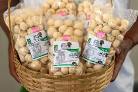 Foto: André Frutuôso/CAR