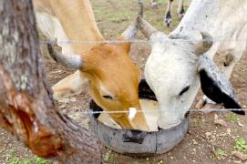 Fotos Amanda ErcíliaGOVBA (1).jpg