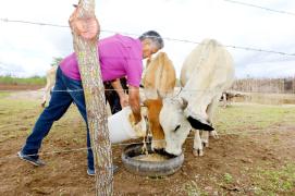 Fotos Amanda ErcíliaGOVBA (4).jpg