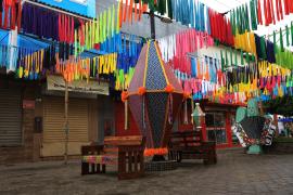 Itororó. Foto: Thuane Maria/GOVBA