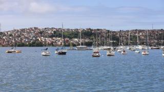 Fotos Feijão AlmeidaGOVBA (2).jpg