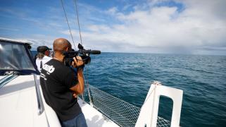 Avistamento de jubartes movimenta turismo e reforça ações sustentáveis na Bahia