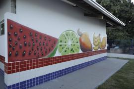 Foto: Douglas Amaral  