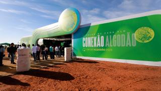 Governador participa da 4ª edição do Dia do Algodão em Riachão das Neves