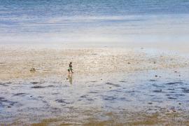 CTB capacita pescadores, marisqueiras e empreendedores para comercializar produtos na extensão do VLT de Salvador e Região Metropolitana