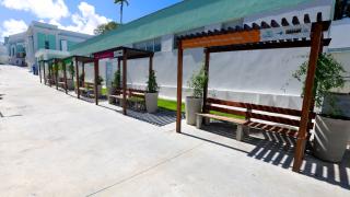 Fotos Feijão AlmeidaGOVBA (1).jpg