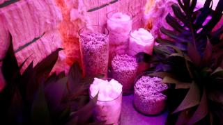 Luís Eduardo Magalhães. Foto: Feijão Almeida/GOVBA