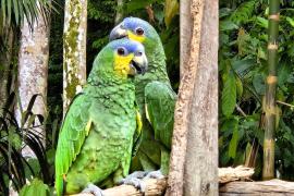 Foto: Paulo Sérgio Ramos