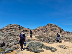 Foto: Marina Sales/Sema