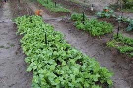 Foto: Laila Brito/SDR