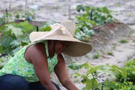 Foto: Laila Brito/SDR