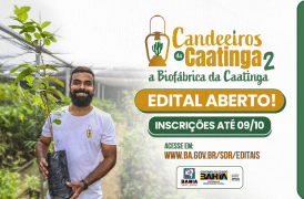 Edital Candeeiros da caatinga.png