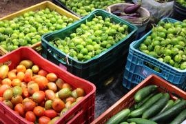 Foto: Laila Brito/SDR