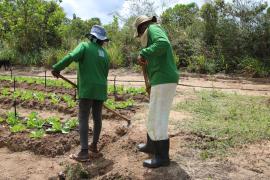 Foto: Laila Brito/SDR