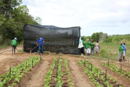 Foto: Laila Brito/SDR