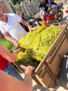 Foto: Prefeitura Sítio do Quinto