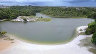 Fotos Feijão AlmeidaGOVBA (1).jpg