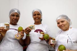 Rio Real. Foto Amanda ErcíliaGOVBA (16).jpeg