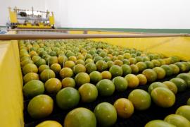 Rio Real. Foto: Amanda Ercília/GOVBA