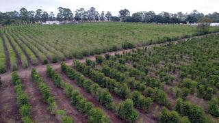 Barra do Choça. Foto: Wuiga Rubini/GOVBA 
