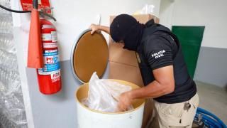 Fotos Feijão AlmeidaGOVBA (1).jpg