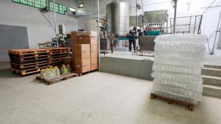 Fotos Feijão AlmeidaGOVBA (5).jpg