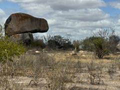 Foto: Ludmille Nazaré/Sema
