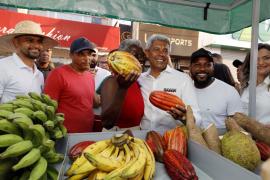 São Miguel das Matas